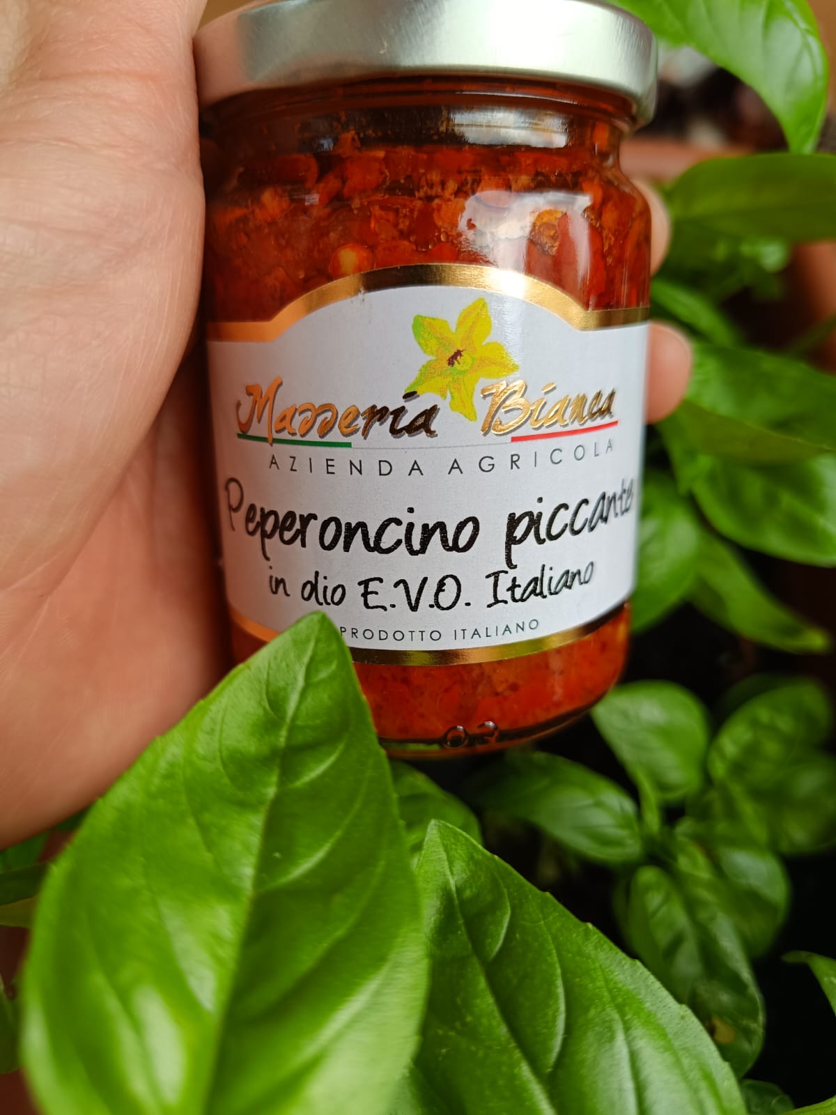 Peperoncino Piccante in Evo