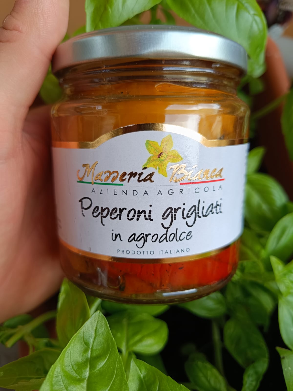 Peperoni Grigliati in Agrodolce