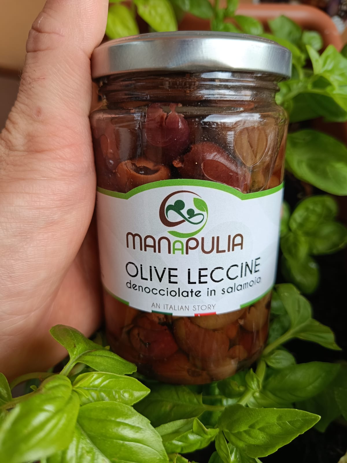 Olive Leccine Denocciolate (Varietà Salentina)